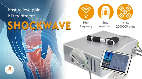 Physical Therapy Equipment 1